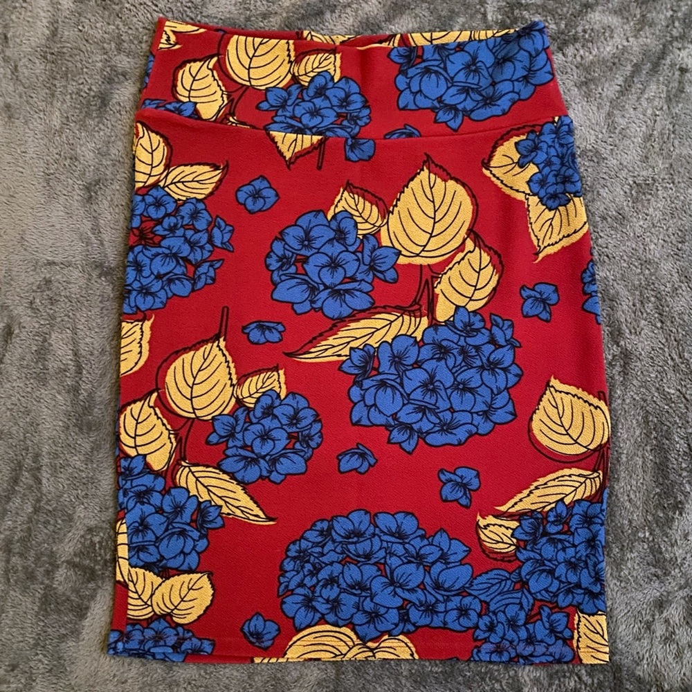 LuLaRoe Cassie skirt. Super comfortable stretch.
